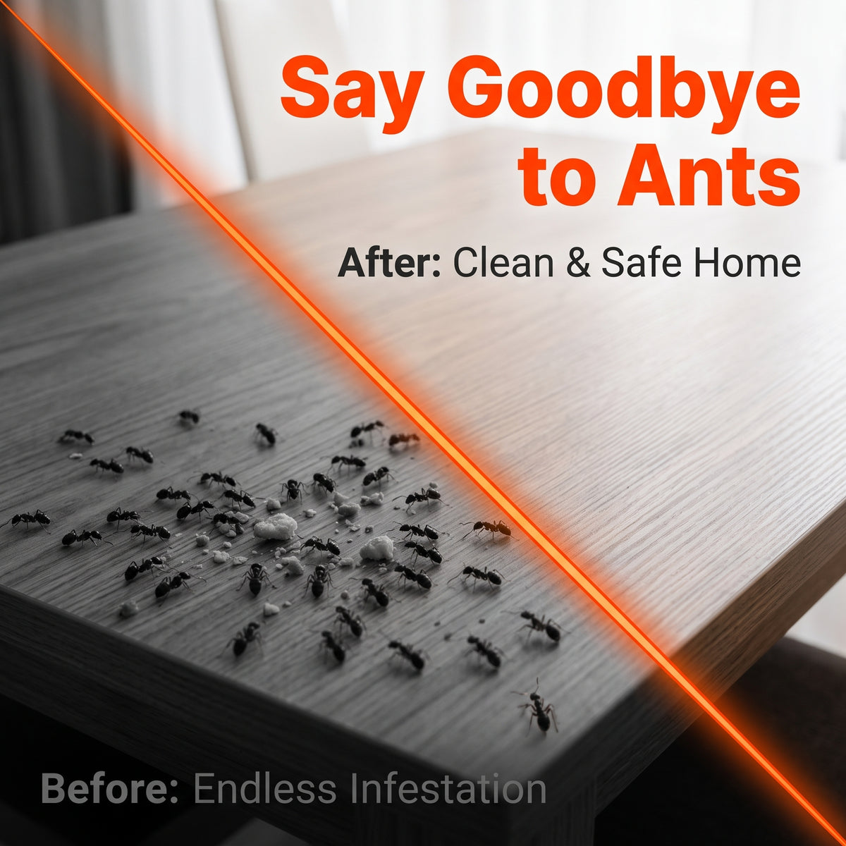 🔥Buy 1 Get 1 Free🪳5 Pack Liquid Ant Killer Bait Stations Indoor Ant Traps For Fast Ant Control