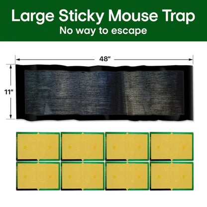 Limited-time 50% discount, North American sales have exceeded 500,000 units 🐭 Large sticky mouse trap 💪