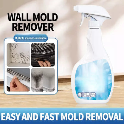🔥Buy One Get One Free for a Limited Time🔥 High-Efficiency Mold Remover Spray - Prevents Mold from Growing Again 🚫🧫