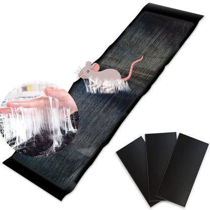 Limited-time 50% discount, North American sales have exceeded 500,000 units 🐭 Large sticky mouse trap 💪