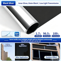 Black/Silver