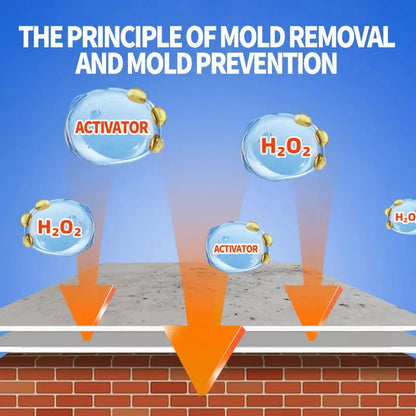 🔥Buy One Get One Free for a Limited Time🔥 High-Efficiency Mold Remover Spray - Prevents Mold from Growing Again 🚫🧫