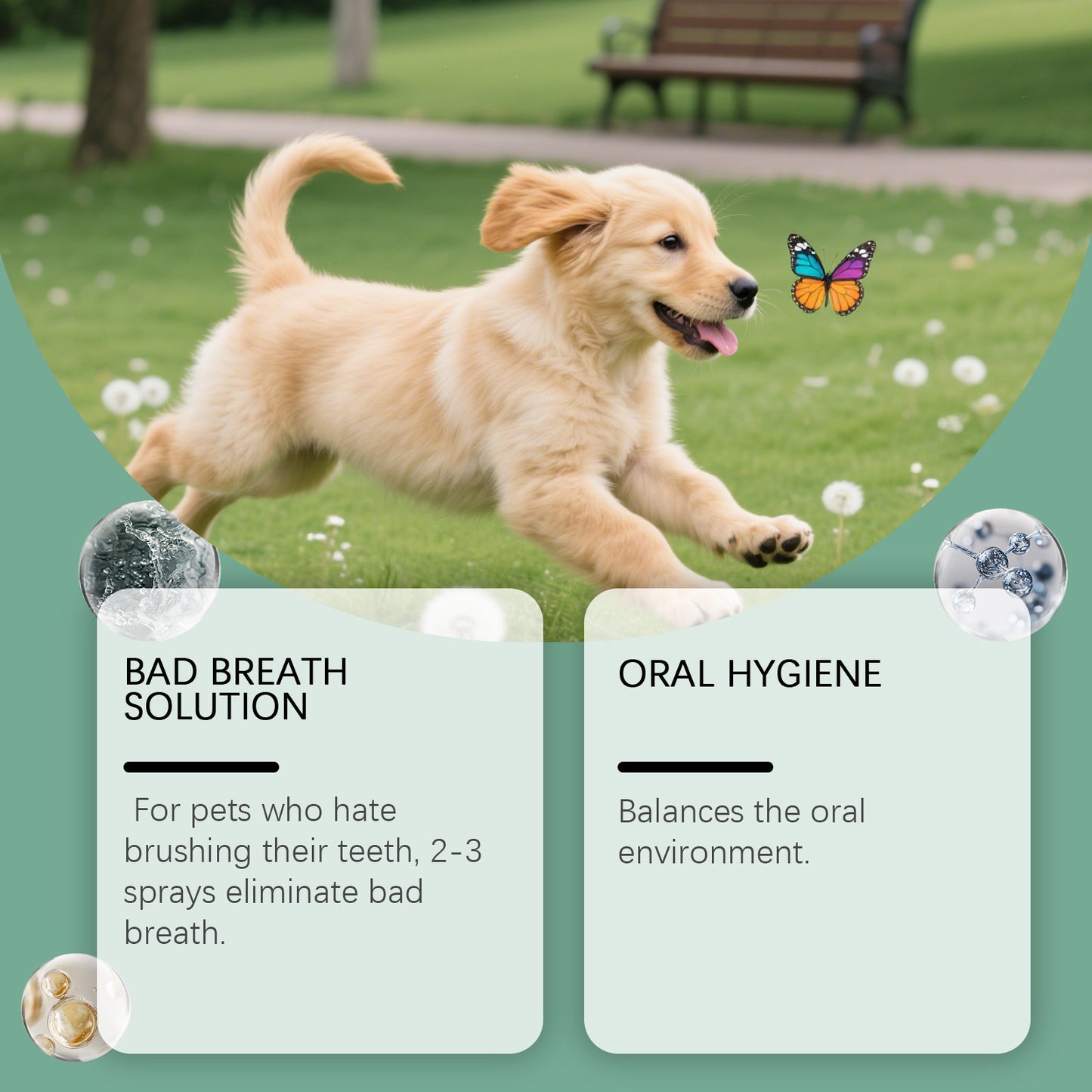 🐱🐶 First 50 customers get one free 🔥 Fresh Breath Pet Teeth Spray