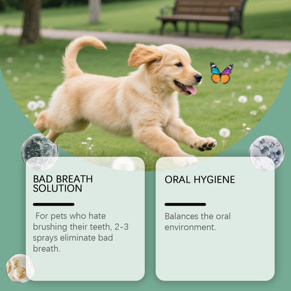 🐱🐶 First 50 customers get one free 🔥 Fresh Breath Pet Teeth Spray