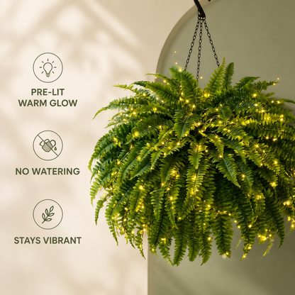 🌿✨ Glowing Boston Ferns with Lights – Zero Watering, Zero Maintenance