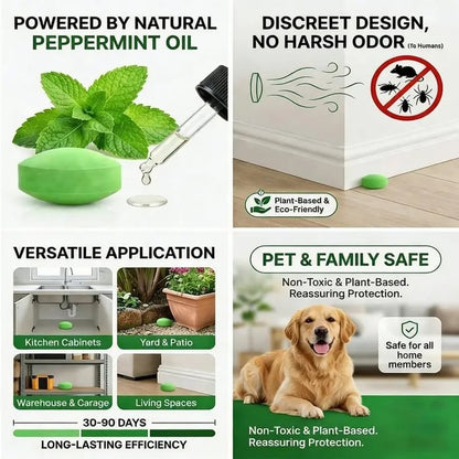 🎁New Arrival 50% OFF💥12-Pack Natural Peppermint Oil Rodent Repellent