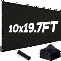 10*19.7 ft