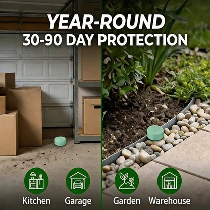 🎁New Arrival 50% OFF💥12-Pack Natural Peppermint Oil Rodent Repellent