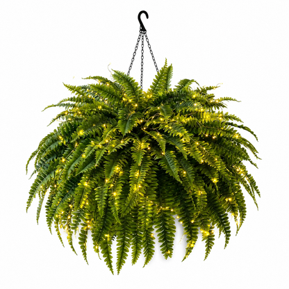 🌿✨ Glowing Boston Ferns with Lights – Zero Watering, Zero Maintenance
