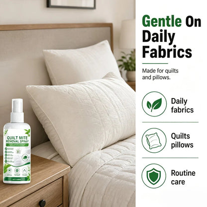 🔥Buy 1 Get 1 Free 🔥🎁🛏️Mite Remover Spray For Bedding & Mattress