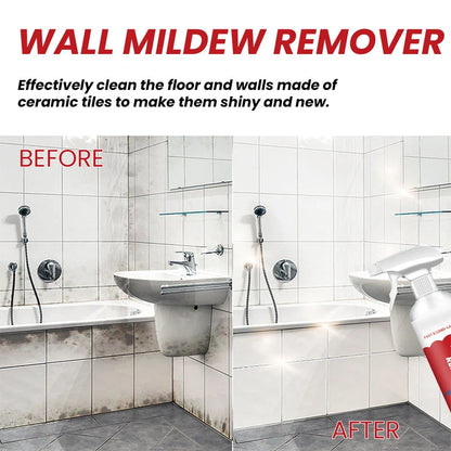 🧽 Buy 1, Get 1 Free (First 50 Orders) 🔥 Powerful, Long-Lasting Wall Mold Remover