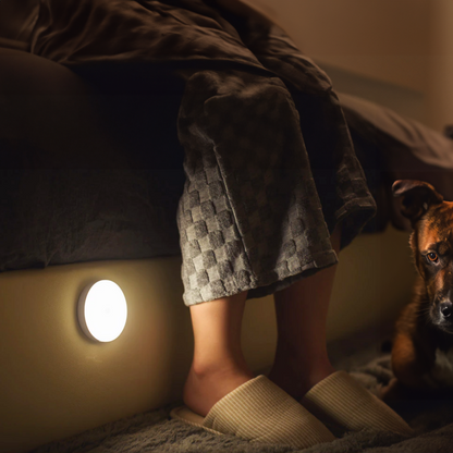 🎄Biggest Christmas Sale 50% OFF⏳Energy-Efficient LED Motion Sensor Light