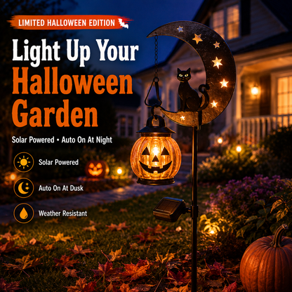 🎃 Halloween Early Bird Sale🌙 50% OFF Pumpkin Moon Garden Stake Light
