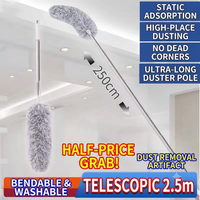 2.5m extendable pole with replacement head