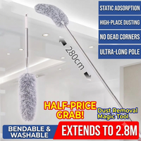 2.8m extendable pole with replacement head