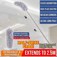 2.5m extendable pole with 2 replacement heads