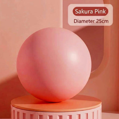 🤸🧘Professional Pilates Ball