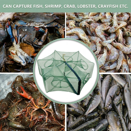 🦐🦀Automatic Foldable Fish Catcher – The Smart Trap for Bigger Catches! 🎣✨