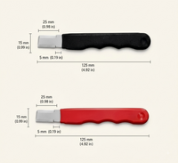 Red + Black