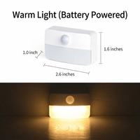 Warm White & Battery Operated