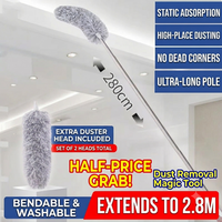 2.8m extendable pole with 2 replacement heads