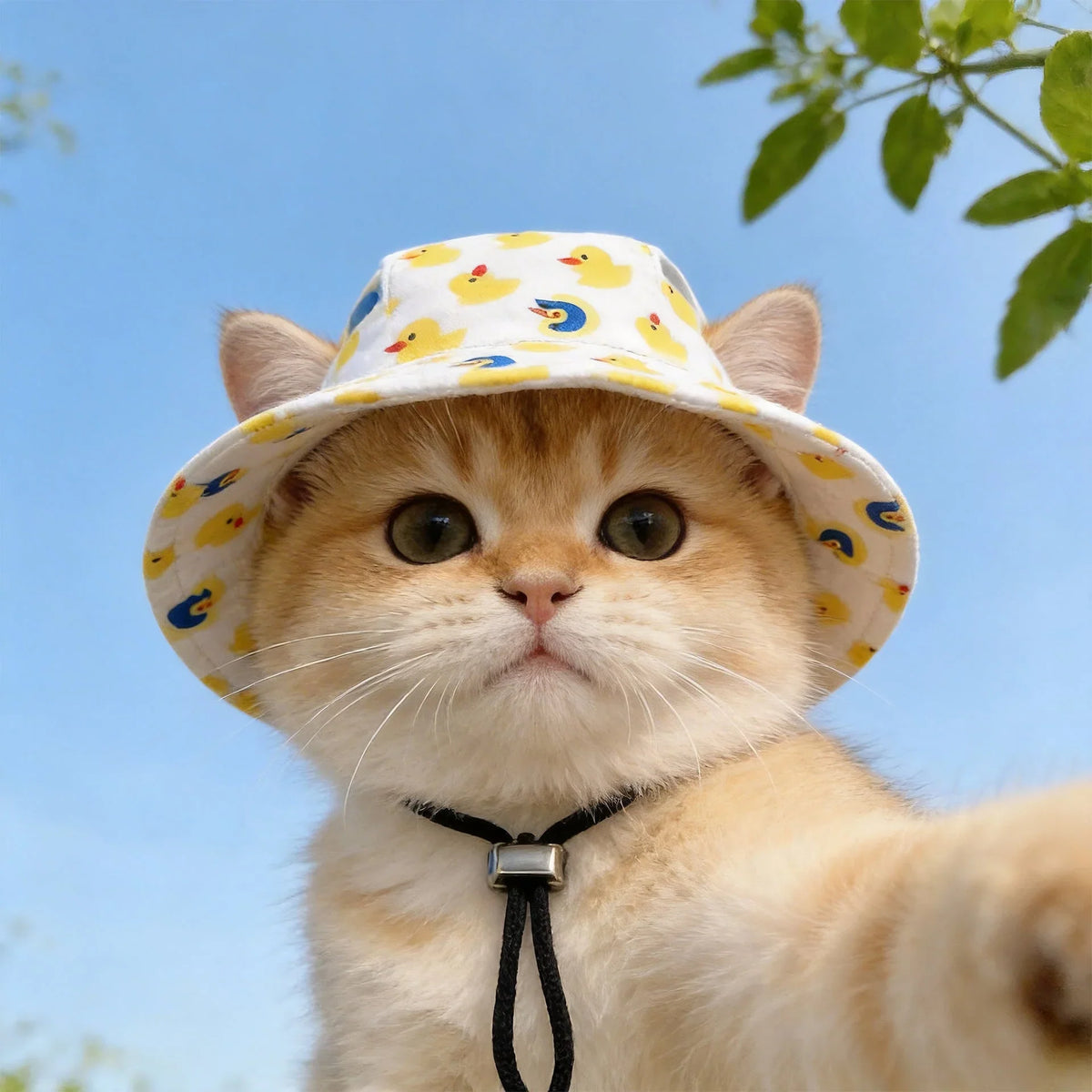🔥50% OFF🐈🐕 Cute dog sun hat