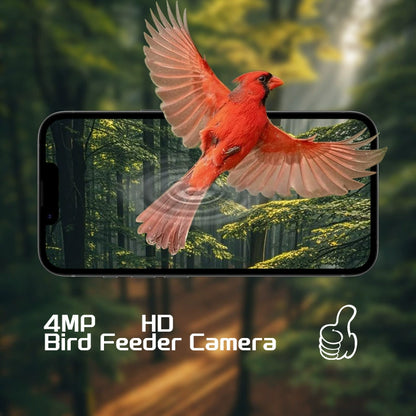 🔥Today‑Only 50% OFF｜4K Ultra‑HD WiFi Smart Bird‑Watching Feeder