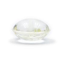 Repellent Capsule Refill (4‑Pack)