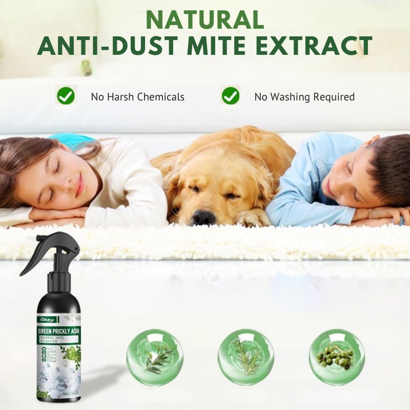 ⏳🔥LIMITED-TIME 50% OFF! ⏰Buy 1 Get 1 Free！Natural Dust Mite Spray