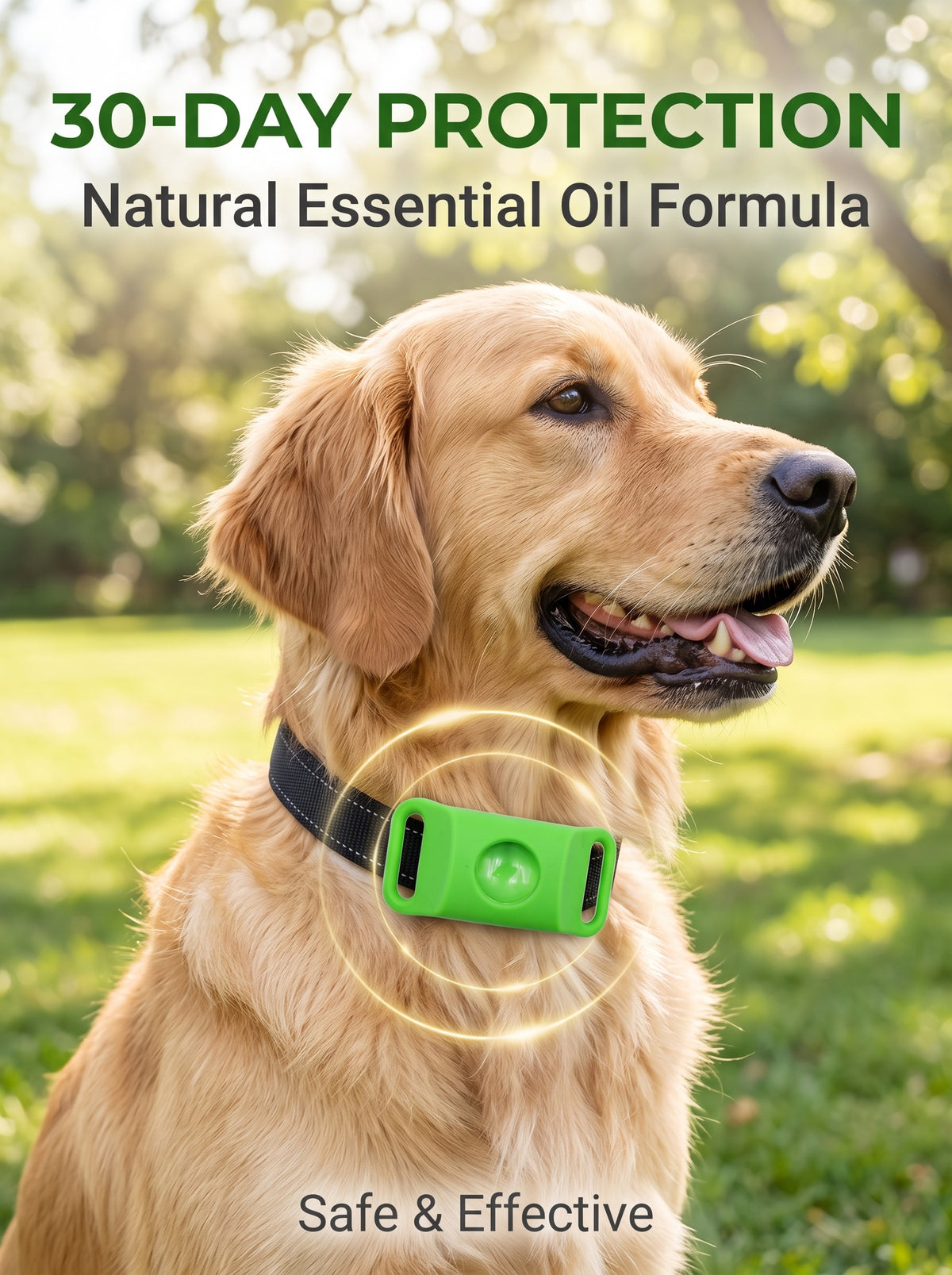 🔥Great Value Special Offer Buy 1 Get 1 FREE｜Pet Flea & Tick Repellent Clip