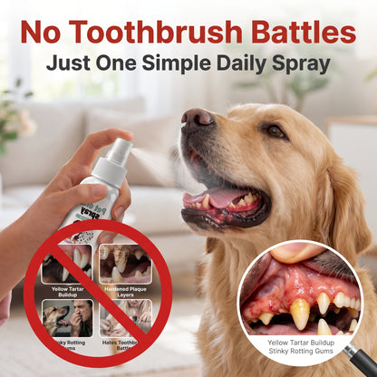 ✨Buy 1 Get 1 Free✨Pet Oral Spray Breath Freshener, Natural Teeth Cleaning Spray for Dogs & Cats