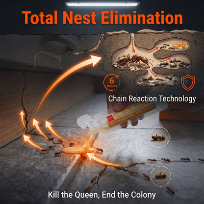 🔥Buy 1 Get 1 Free🪳5 Pack Liquid Ant Killer Bait Stations Indoor Ant Traps For Fast Ant Control