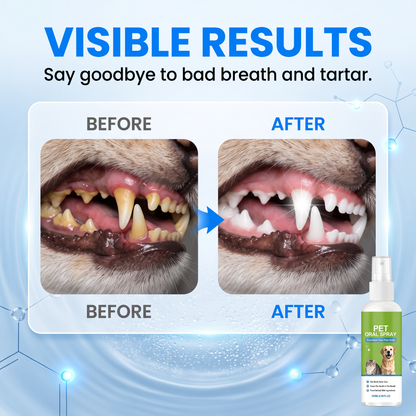 🔥Buy 1 Get 1 Free🔥Pet Oral Spray To Clean Tartar And Stains