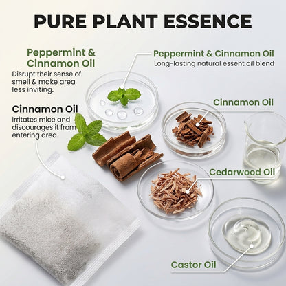 🐭Half price🌿rodent-repellent plant essential oil packs