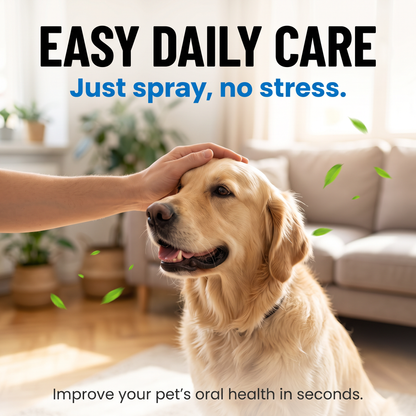 🔥Buy 1 Get 1 Free🔥Pet Oral Spray To Clean Tartar And Stains
