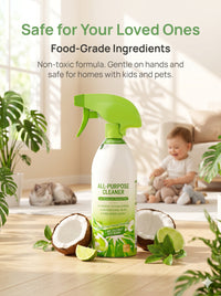 Bathroom Cleaner （500ml）Equipped with foam sprinklers
