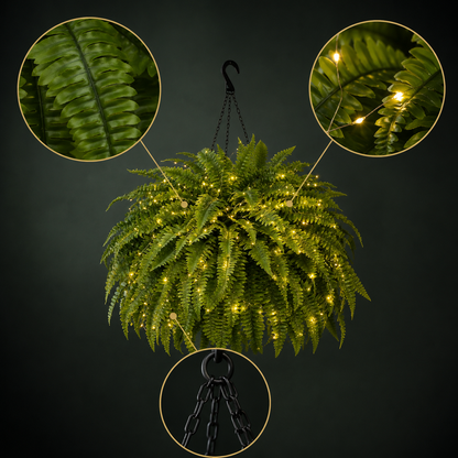 🌿✨ Glowing Boston Ferns with Lights – Zero Watering, Zero Maintenance