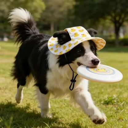 🔥50% OFF🐈🐕 Cute dog sun hat