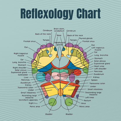 🔥Limited-time 50% off🎁  ReflexTherapy Socks