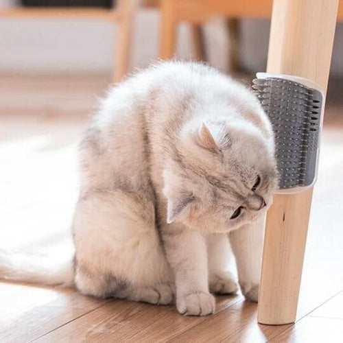 🐱 Cat Self-Grooming Brush – Massage & Collect Loose Hair
