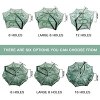 6 HOLES
