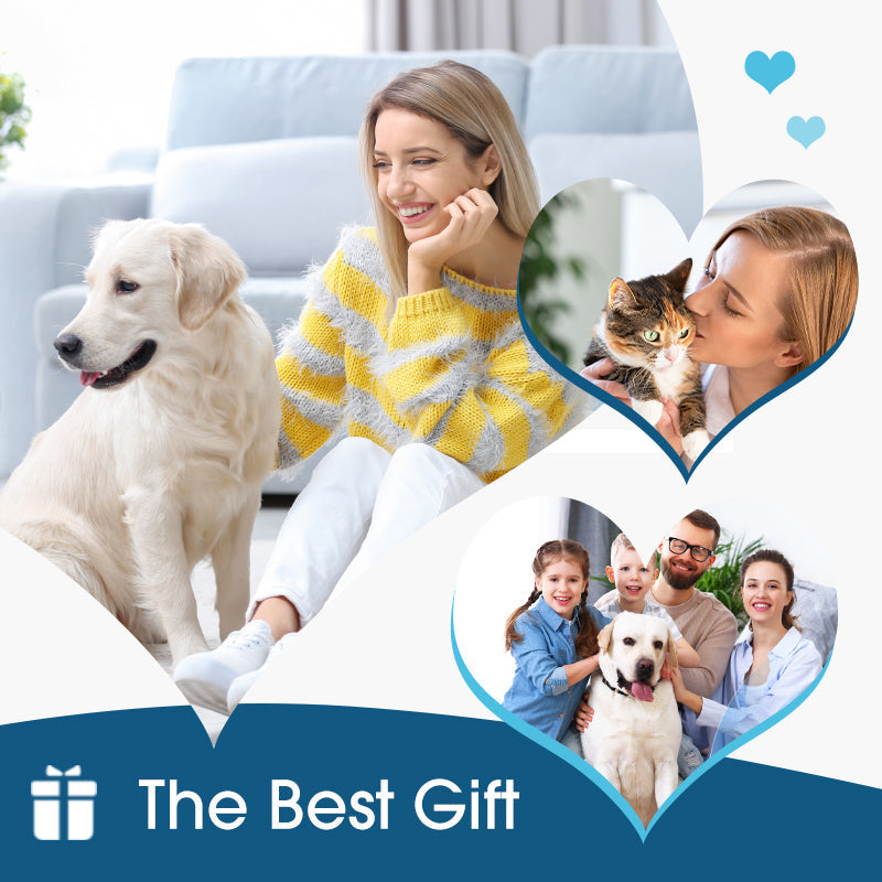 🔥Buy one get one free for a limited time!🔥 🐱 Ear cleaner to relieve ear itching in dogs and cats🐶