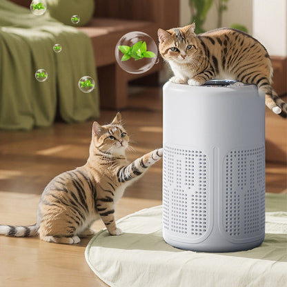 🔥Today’s Special Offer — 50% OFF Compact, Silent & Energy-Efficient Air Purifier – Ideal for Pet Hair, Dust & Allergies