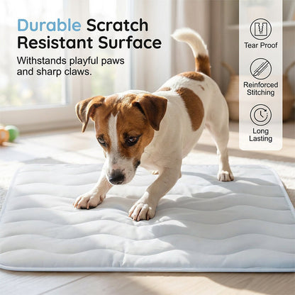 ❄️ 50%OFF 🧊Breathable Washable Pet Cooling Mat