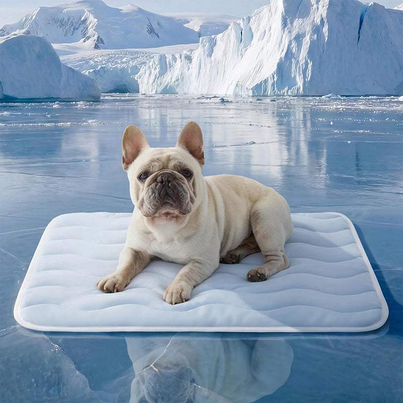 ❄️ 50%OFF 🧊Breathable Washable Pet Cooling Mat