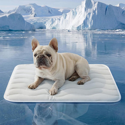 ❄️ 50%OFF 🧊Breathable Washable Pet Cooling Mat