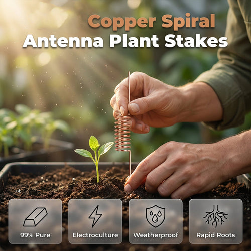🔥Last Day Sale 50% OFF-Copper Spiral Antenna Plant Stakes🌻🌻