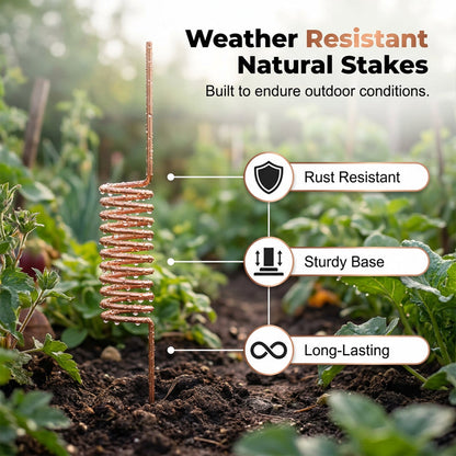 🔥Last Day Sale 50% OFF-Copper Spiral Antenna Plant Stakes🌻🌻