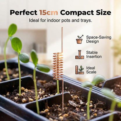 🔥Last Day Sale 50% OFF-Copper Spiral Antenna Plant Stakes🌻🌻