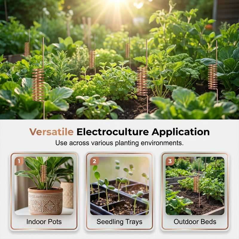 🔥Last Day Sale 50% OFF-Copper Spiral Antenna Plant Stakes🌻🌻